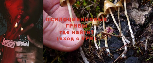 кокс Абдулино