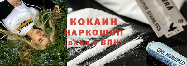 гидра Мегион