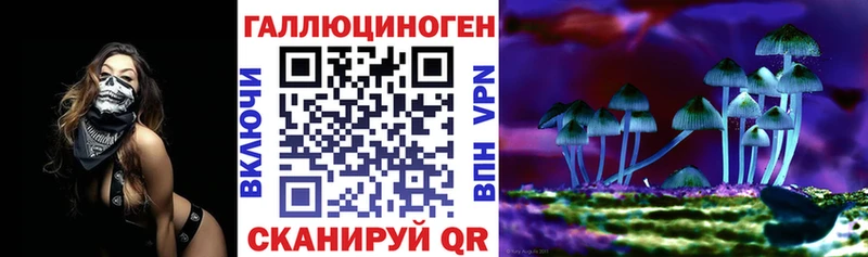 Псилоцибиновые грибы мицелий  Пыталово 